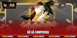 Đá gà Campuchia
