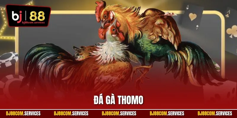 Đá Gà Thomo