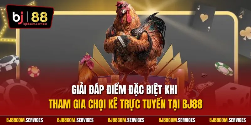 Giải đáp điểm đặc biệt khi tham gia chọi kê trực tuyến tại BJ88