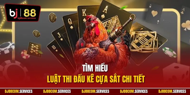 Tìm hiểu luật thi đấu kê cựa sắt chi tiết